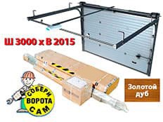 Doorhan RSD-01S 3000х2015 мм (зол. дуб)